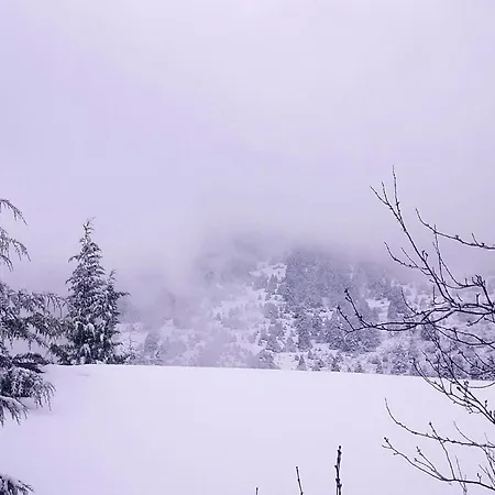 Lodge House On The Mountain *